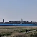 Kuestenmuschel * 오텐도르프