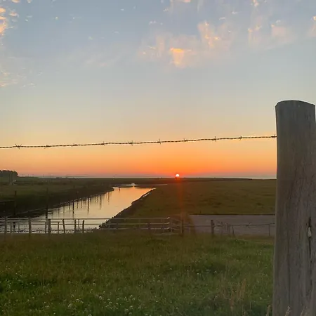 Apartamento Kuestenmuschel