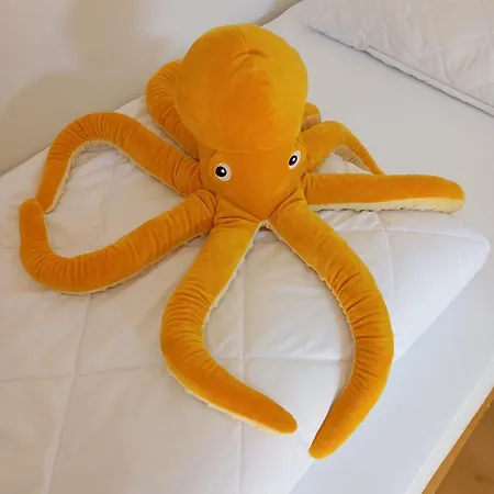 Kuestenmuschel Lejlighed