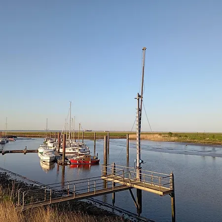 Kuestenmuschel Otterndorf