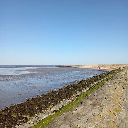 Kuestenmuschel Apartamento Otterndorf