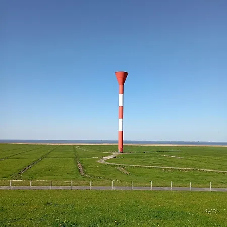 Kuestenmuschel