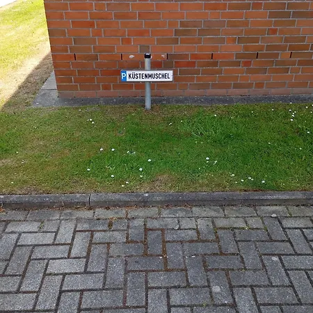 Kuestenmuschel Lejlighed Otterndorf