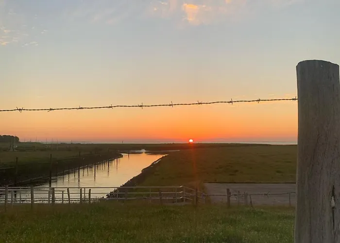 Appartement Kuestenmuschel