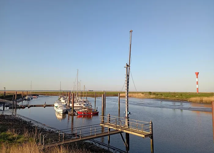 Kuestenmuschel Otterndorf