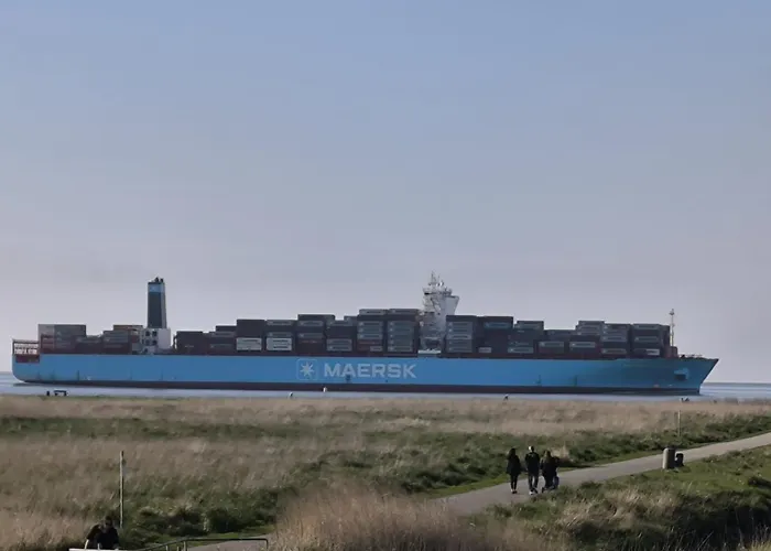 Kuestenmuschel * Otterndorf