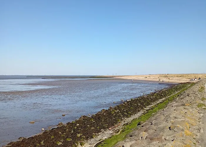 Kuestenmuschel Appartement Otterndorf