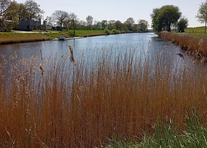 Kuestenmuschel Appartement *